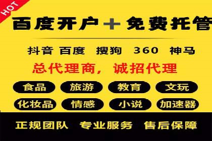 解析某某SEM服务公司如何通过数据分析优化广告效果